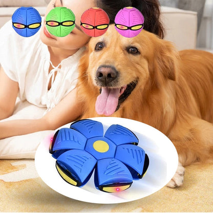 FetchFlyer™ | Interaktiver Hunde-Frisbee-Ball | 1 +1 KOSTENLOS 