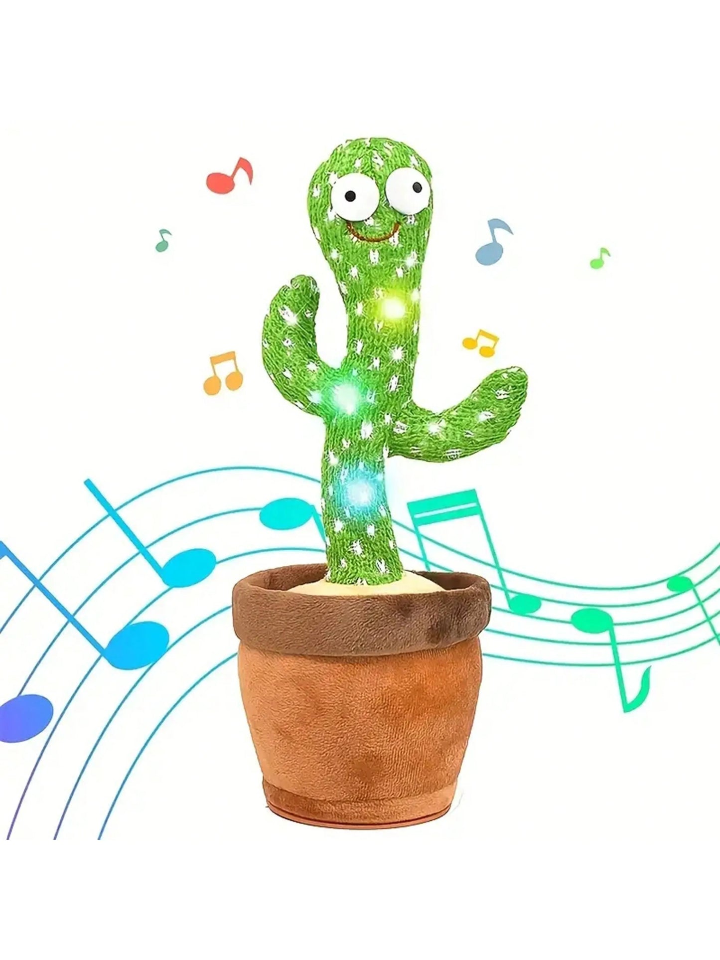 Kees | De kleine cactus vriend