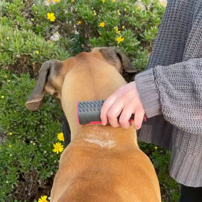 Petshare™ - Dog Brush 